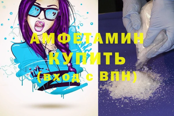 прущие грибы Снежинск